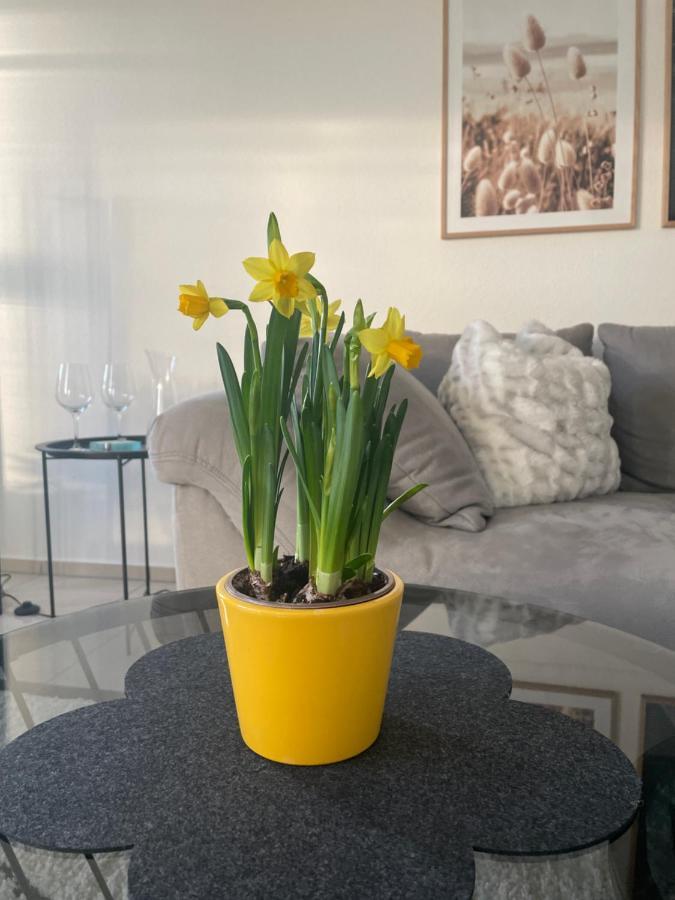 4-Sterne Ferienwohnung Krill บาดวัวร์ซัค ภายนอก รูปภาพ